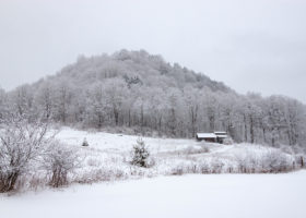 Field Guide to March 2022