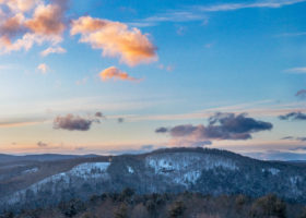 Field Guide to February 2022