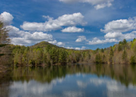 Field Guide to May 2022