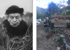 VCE's Bicknell's Thrush Work Recognized with Prestigious Award