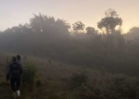 Further Adventures in the D.R.: On the Trailless Trail of the Bicknell’s Thrush