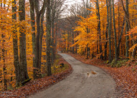 Field Guide to October 2023