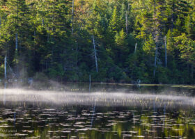 Field Guide to September 2023