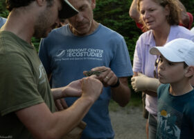 VCE Wraps 32 Years on Mansfield with a Flourish