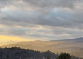 Field Guide to January 2024