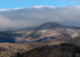 Field Guide to March 2024