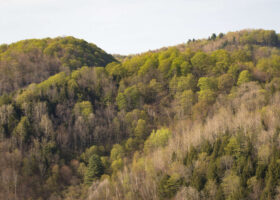 Field Guide to April 2024