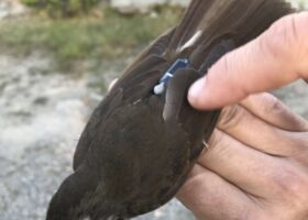 The Next Generation of Mt. Mansfield Ridgeline Research at VCE