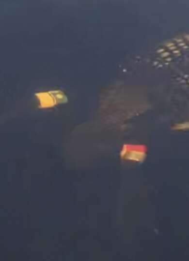 14949, , IMG_2078_390x540_acf_cropped, , , image/jpeg, https://vtecostudies.nyc3.digitaloceanspaces.com/wp-content/uploads/2024/09/08171535/IMG_2078_390x540_acf_cropped.jpeg, 390, 540, Array, Array 