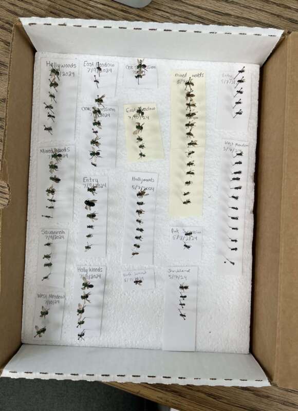 14944, , IMG_0048_580x800_acf_cropped, , , image/jpeg, https://vtecostudies.nyc3.digitaloceanspaces.com/wp-content/uploads/2024/09/08171547/IMG_0048_580x800_acf_cropped.jpeg, 580, 800, Array, Array 