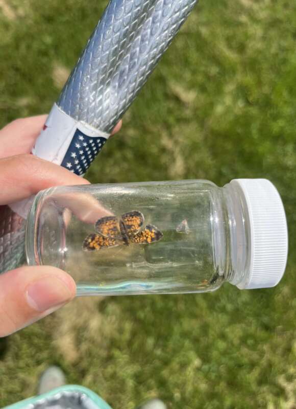 14943, , IMG_0009_580x800_acf_cropped, , , image/jpeg, https://vtecostudies.nyc3.digitaloceanspaces.com/wp-content/uploads/2024/09/08171549/IMG_0009_580x800_acf_cropped.jpeg, 580, 800, Array, Array 