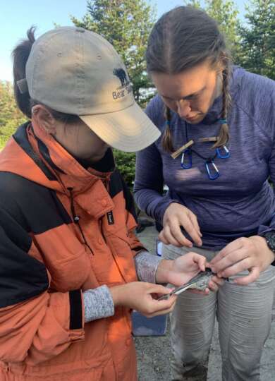 14941, , IMG_1816_390x540_acf_cropped, , , image/jpeg, https://vtecostudies.nyc3.digitaloceanspaces.com/wp-content/uploads/2024/09/08171554/IMG_1816_390x540_acf_cropped.jpeg, 390, 540, Array, Array 