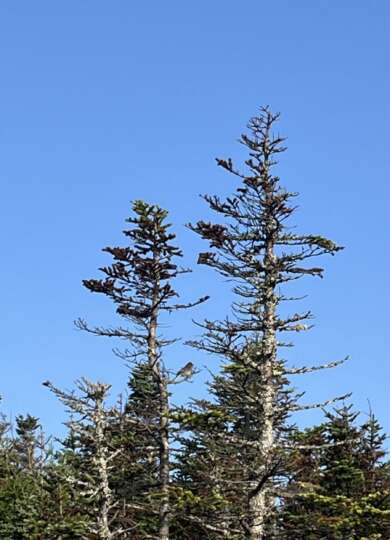 14940, , IMG_0102_390x540_acf_cropped, , , image/jpeg, https://vtecostudies.nyc3.digitaloceanspaces.com/wp-content/uploads/2024/09/08171556/IMG_0102_390x540_acf_cropped.jpeg, 390, 540, Array, Array 