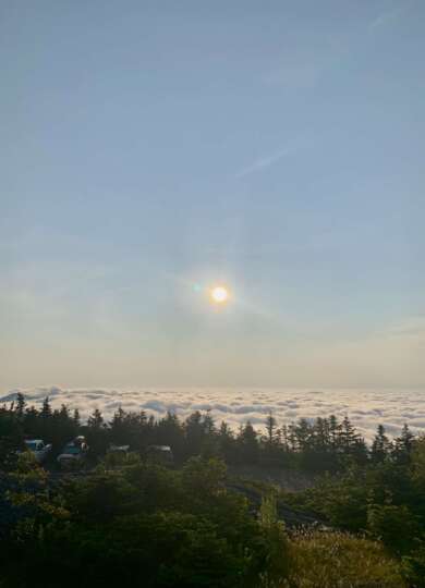 14938, , IMG_1805_390x540_acf_cropped, , , image/jpeg, https://vtecostudies.nyc3.digitaloceanspaces.com/wp-content/uploads/2024/09/08171601/IMG_1805_390x540_acf_cropped.jpeg, 390, 540, Array, Array Photo by Gita Yingling