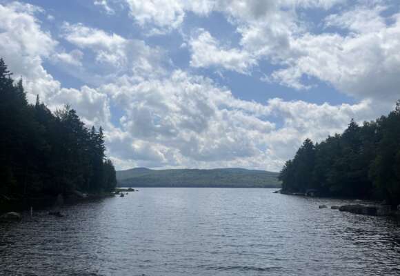 14932, , IMG_9910_580x400_acf_cropped, , , image/jpeg, https://vtecostudies.nyc3.digitaloceanspaces.com/wp-content/uploads/2024/09/08171610/IMG_9910_580x400_acf_cropped.jpeg, 580, 400, Array, Array 