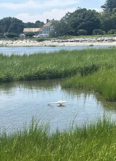 14927, , IMG_9819_390x540_acf_cropped, , , image/jpeg, https://vtecostudies.nyc3.digitaloceanspaces.com/wp-content/uploads/2024/09/08171620/IMG_9819_390x540_acf_cropped.jpeg, 390, 540, Array, Array 