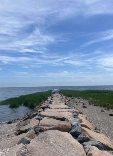 14926, , IMG_9814_390x540_acf_cropped, , , image/jpeg, https://vtecostudies.nyc3.digitaloceanspaces.com/wp-content/uploads/2024/09/08171621/IMG_9814_390x540_acf_cropped.jpeg, 390, 540, Array, Array 