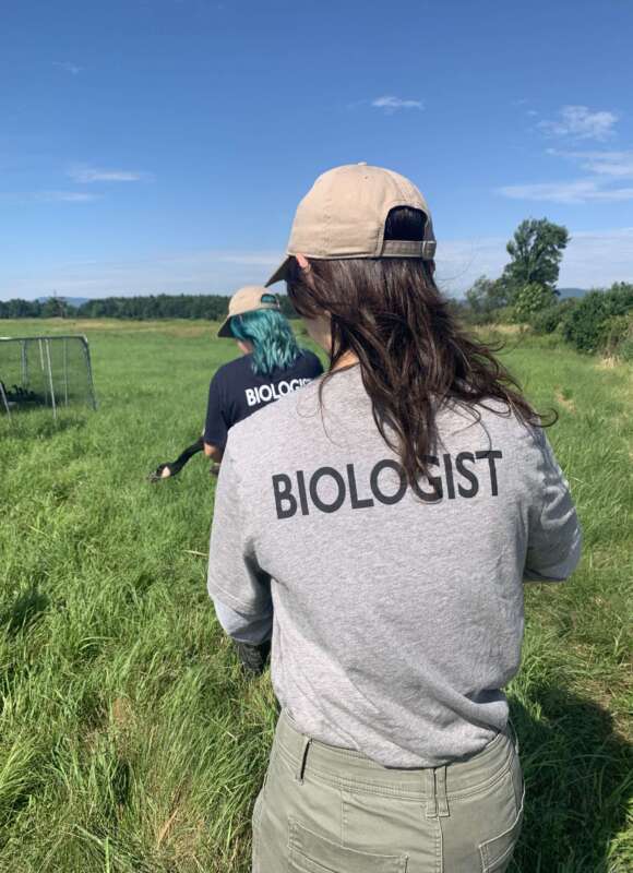 14914, , IMG_0831_580x800_acf_cropped, , , image/jpeg, https://vtecostudies.nyc3.digitaloceanspaces.com/wp-content/uploads/2024/09/08171701/IMG_0831_580x800_acf_cropped.jpeg, 580, 800, Array, Array Photo by Gita Yingling