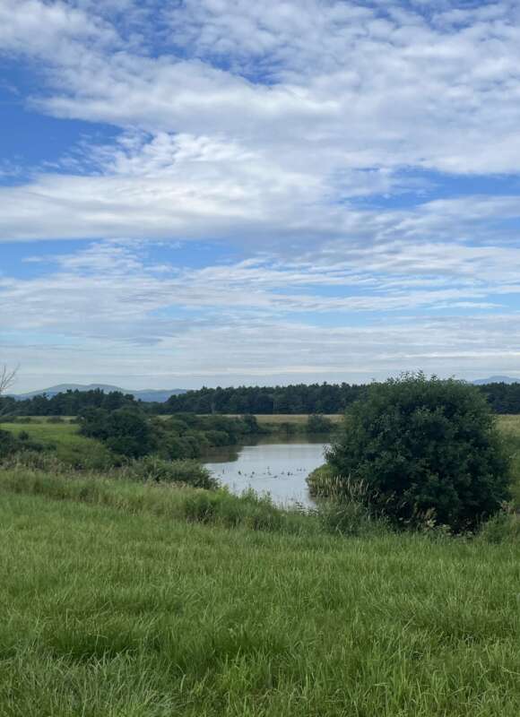 14913, , IMG_9587_580x800_acf_cropped, , , image/jpeg, https://vtecostudies.nyc3.digitaloceanspaces.com/wp-content/uploads/2024/09/08171704/IMG_9587_580x800_acf_cropped.jpeg, 580, 800, Array, Array 