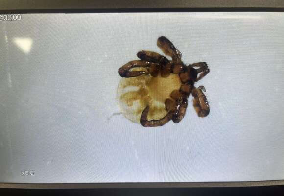 14897, , IMG_9506_580x400_acf_cropped, , , image/jpeg, https://vtecostudies.nyc3.digitaloceanspaces.com/wp-content/uploads/2024/09/08171759/IMG_9506_580x400_acf_cropped.jpeg, 580, 400, Array, Array 