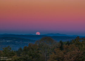 Field Guide to November