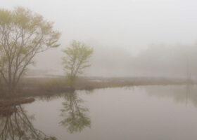 Field Guide to April 2025