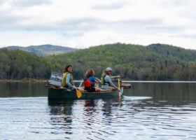 Two Biologists and Every Loon in Vermont: the Power of Community Science