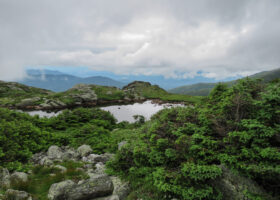 Field Guide to August 2025