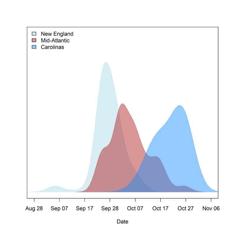 Graph of BITH locations over time