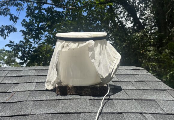 16240, , KTolan_NFC_21cMic, , , image/jpeg, https://vtecostudies.nyc3.digitaloceanspaces.com/wp-content/uploads/2025/09/08163858/KTolan_NFC_21cMic.jpg, 2500, 1303, Array, Array © Kevin Tolan