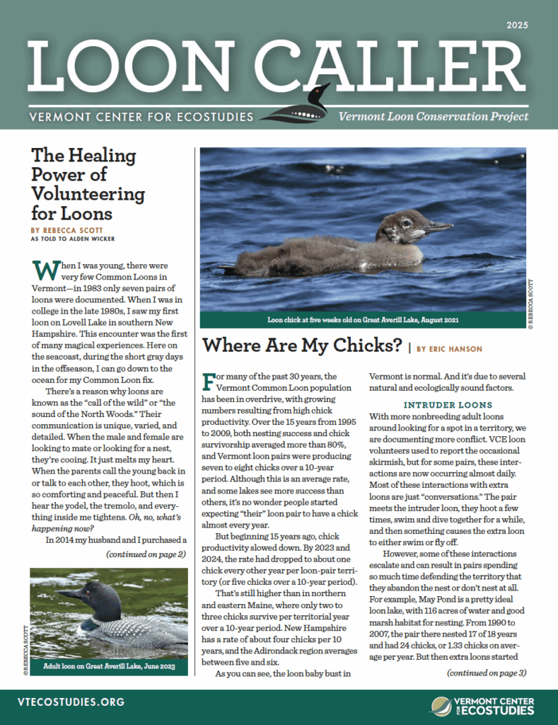 Loon Caller cover