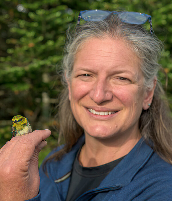 Susan Hindinger, Executive Director