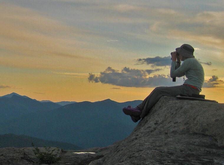 Mountain Birdwatch volunteer looking for birds