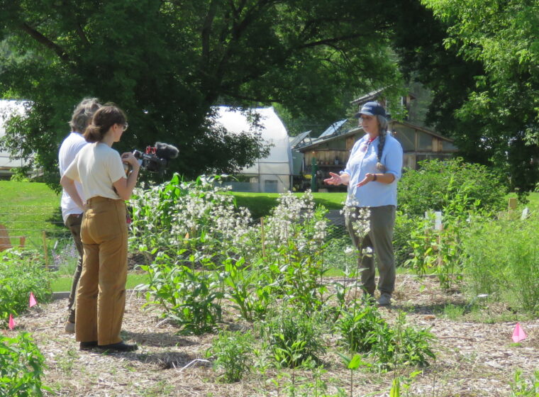 Desiree Narango getting interviewed on camera