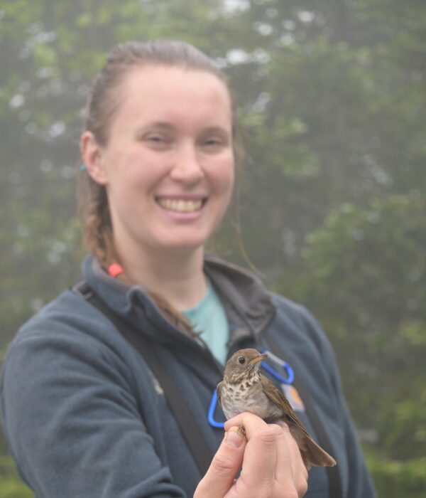 Anna Peel, Lead Bird Bander
