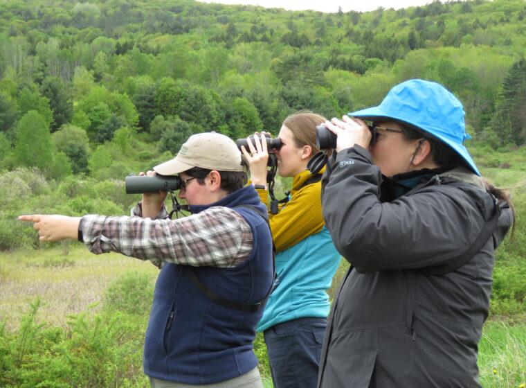 Three people look through binoculars